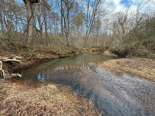 104 Acres Hunting & Timber : Eldridge : Fayette County : Alabama