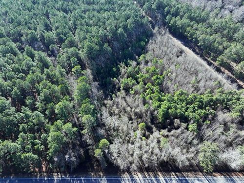 Lot 1 Wooded Lot for Sale : Fairmont : Robeson County : North Carolina