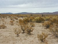 20 Acres in Tx- Owner Financing : Cornudas : Hudspeth County : Texas