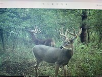 160 Acres, Portage County : Dewey : Portage County : Wisconsin