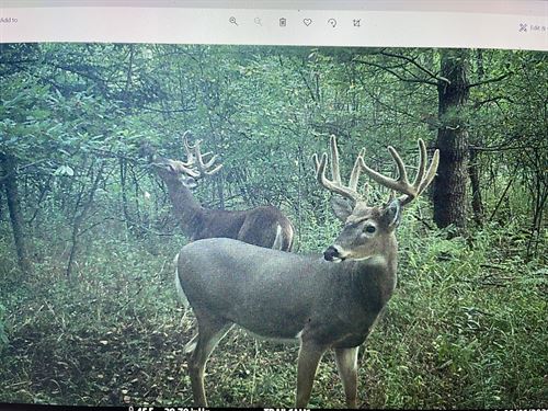 160 Acres, Portage County : Dewey : Portage County : Wisconsin