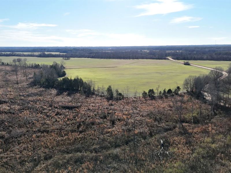94.69 Acres in Prentiss County, MS : Booneville : Prentiss County : Mississippi