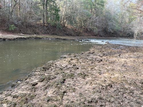 Huggins Mill Road Tract-7 Acres : Red Level : Covington County : Alabama