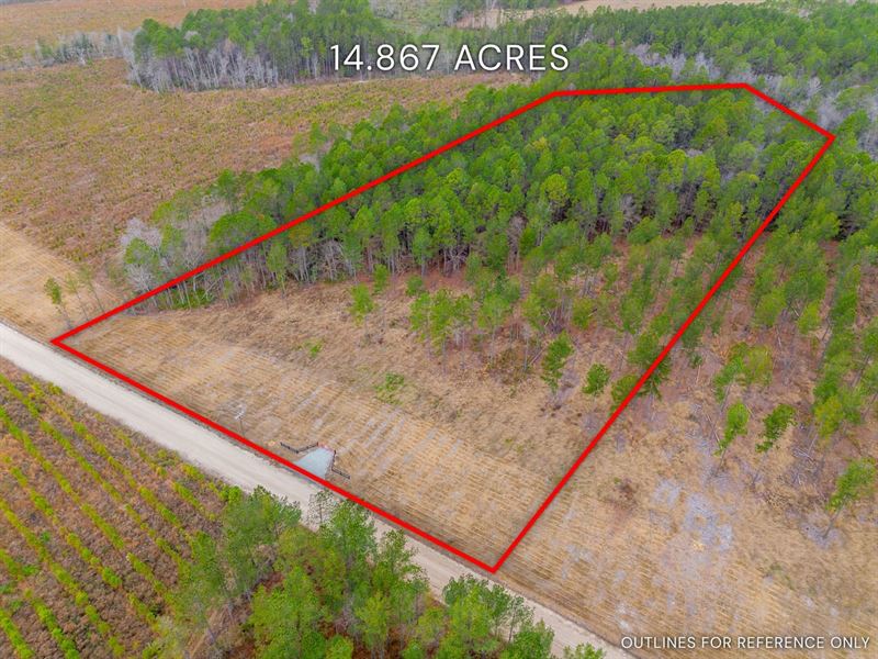 Lot 17, Lanes Creek Farms : Brooklet : Bulloch County : Georgia