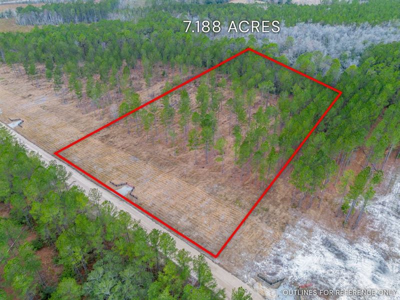 Lot 19, Lanes Creek Farms : Brooklet : Bulloch County : Georgia