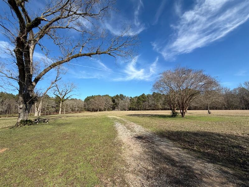 20.02 Acres Clarke County, MS : Enterprise : Clarke County : Mississippi