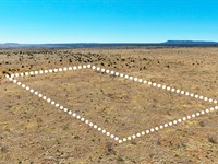 No HOA Acreage, Near Lake, $1 Down : Conchas Dam : San Miguel County : New Mexico