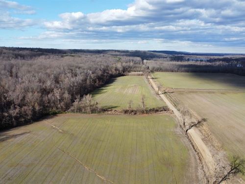 Crowley's Ridge Farm, 80 : Widener : Saint Francis County : Arkansas