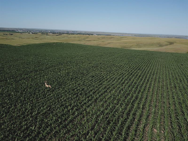 394 Acres, River Frontage, Tillable : Mobridge : Walworth County : South Dakota