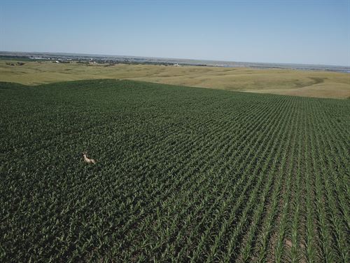 394 Acres, River Frontage, Tillable : Mobridge : Walworth County : South Dakota