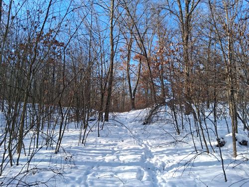 9 Acres Adjoining National Forest : Trego : Washburn County : Wisconsin