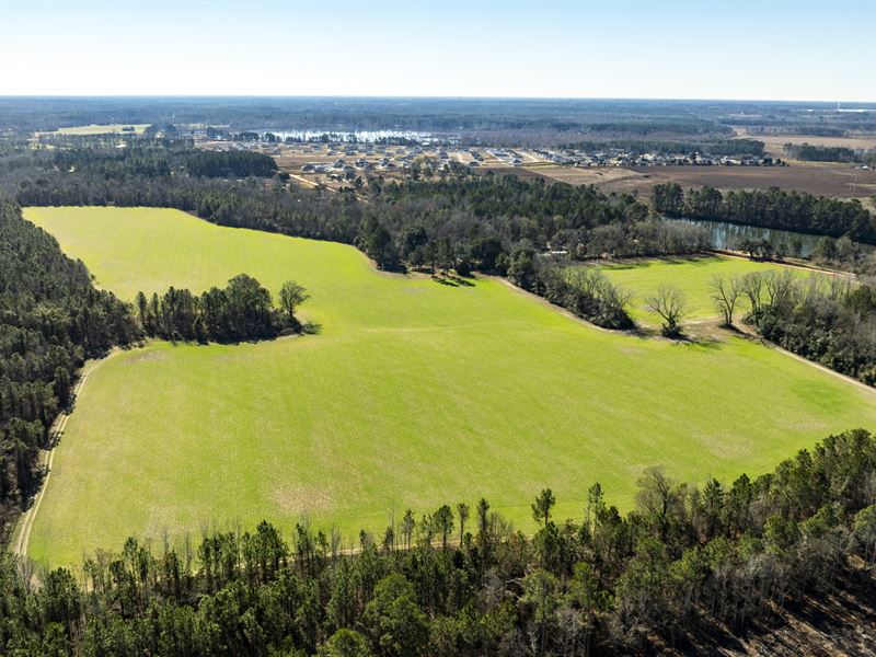 Quarterman Farm : Statesboro : Bulloch County : Georgia