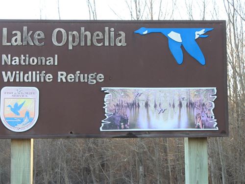 375 Acres in Avoyelles Parish, LA : Marksville : Avoyelles Parish : Louisiana