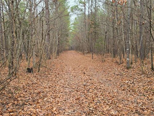 30 Acres in Oktibbeha County, MS : Starkville : Oktibbeha County : Mississippi