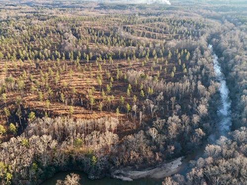 Lebanon Bend Preserve, 247 Acres : Muscadine : Cleburne County : Alabama