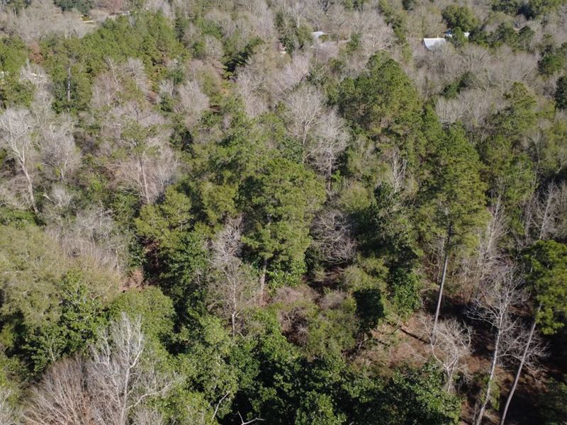 53.63 Acres in Washington Parish : Bogalusa : Washington Parish : Louisiana