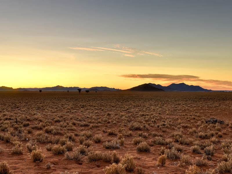 10 Acres of Prime Land in TX : Shafter : Presidio County : Texas