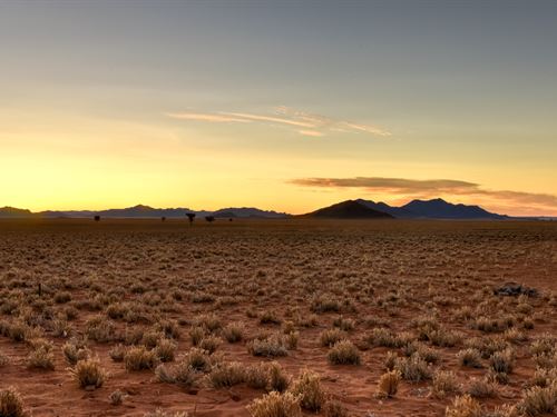 10 Acres of Prime Land in TX : Shafter : Presidio County : Texas