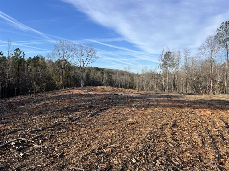 Abbeville County Homestead : Abbeville : Abbeville County : South Carolina
