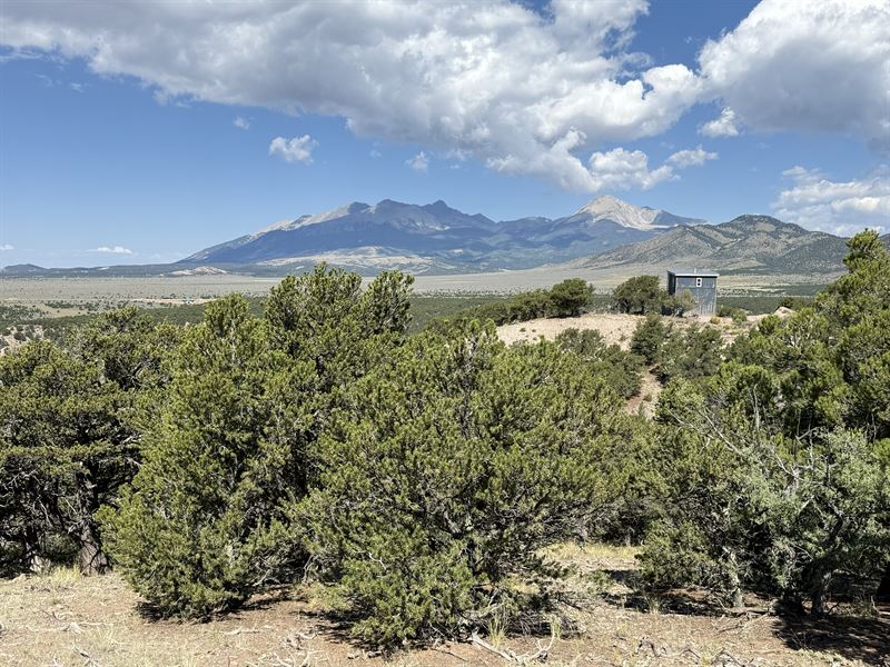 Mountain Views with Trees At 8300Ft : Fort Garland : Costilla County : Colorado