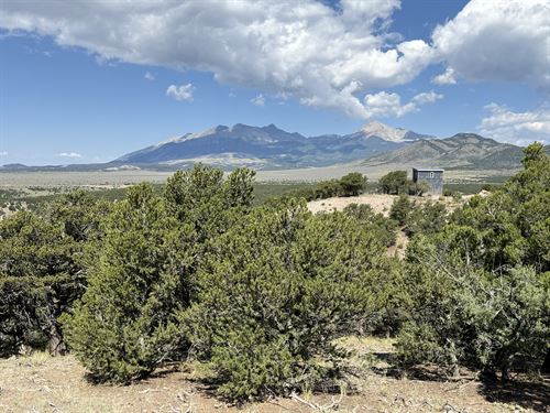 Mountain Views with Trees At 8300Ft : Fort Garland : Costilla County : Colorado