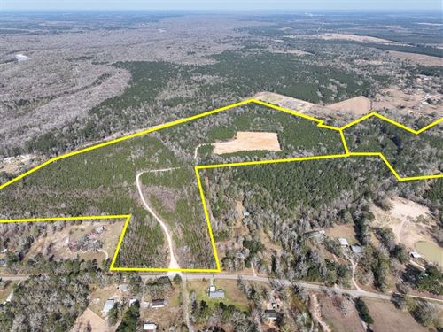 103 Acres, Lakeview Road, 01541 : Vidor : Orange County : Texas