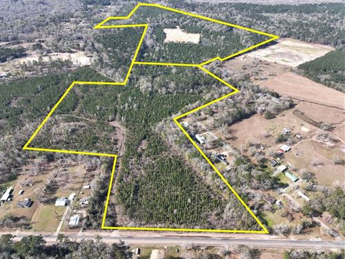 38 Acres, Hwy 1131, 01541 : Vidor : Orange County : Texas