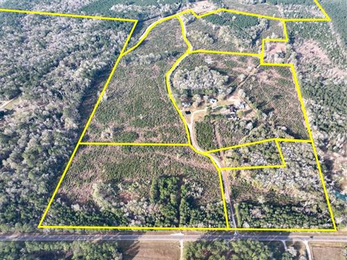 23 Acres, T-9, Tall Cotton Rd : Saratoga : Hardin County : Texas