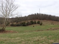 Deer Hunting & More : Horse Cave : Hart County : Kentucky