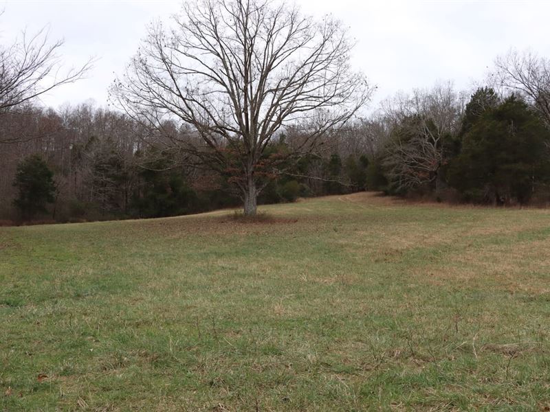Hunting Cattle Farm for Sale in Ken : Horse Cave : Hart County : Kentucky