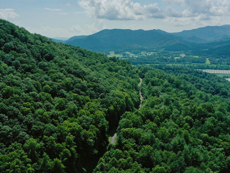 Shake Hollow Drive : Rabun Gap : Rabun County : Georgia