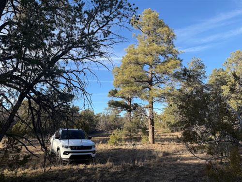 Off-Grid Freedom in Cubero : Cubero : Cibola County : New Mexico