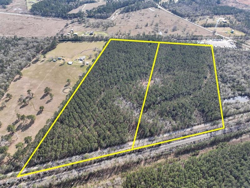 31 Acres, T-2, Zavalla Road, 047 : Mauriceville : Orange County : Texas