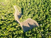 Hills Creek Furman Timber & Black : Furman : Lowndes County : Alabama