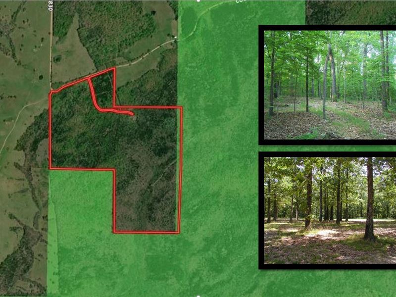 Ozark County Recreational Property : Thornfield : Ozark County : Missouri