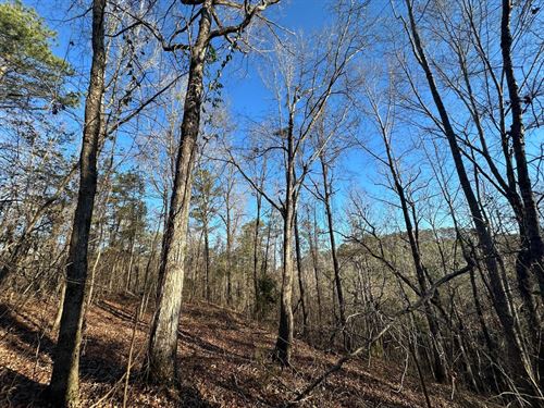 Water Oak Road Farm : Greensboro : Hale County : Alabama