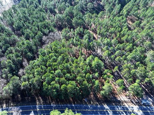 Lot 9 Wooded Residential Lot : Fairmont : Robeson County : North Carolina