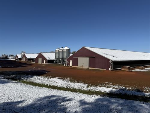 Nice 4 House Broiler Poultry Farm : Ellaville : Schley County : Georgia