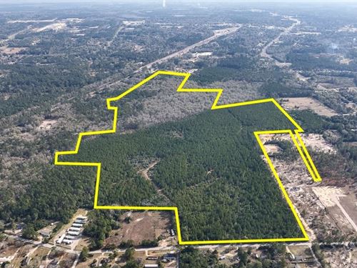 178 Acres, Fresenius Rd, 01191 : Silsbee : Hardin County : Texas