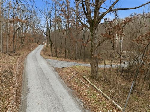 Cox Rd, 5 Acres : Vinton : Ohio