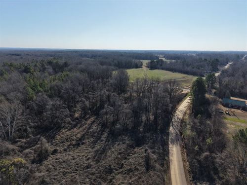 36 Acres in Hardeman County, TN : Bolivar : Hardeman County : Tennessee