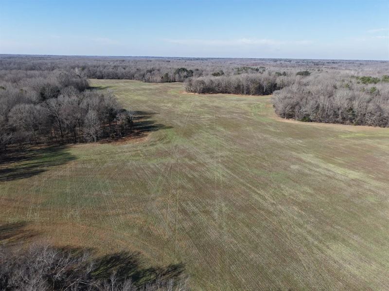 57 Acres in Hardeman County, TN : Bolivar : Hardeman County : Tennessee