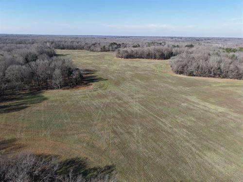 57 Acres in Hardeman County, TN : Bolivar : Hardeman County : Tennessee