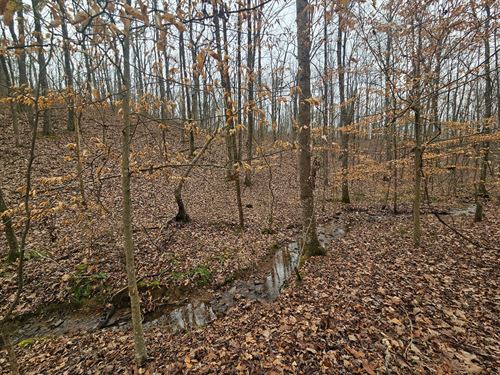 Toney Tract 13 Wooded Acres : Attalla : Etowah County : Alabama