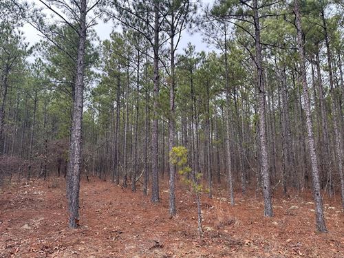 5.12 Hunter Drive, Marion Co : Mauk : Marion County : Georgia