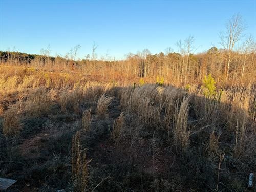 Kettle Creek Ridge, 244 Acres, WI : Rayle : Wilkes County : Georgia