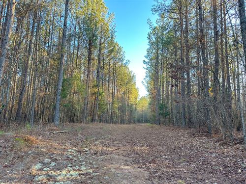 6 Acre Mini Farm in Waverly : Waverly : Tallapoosa County : Alabama