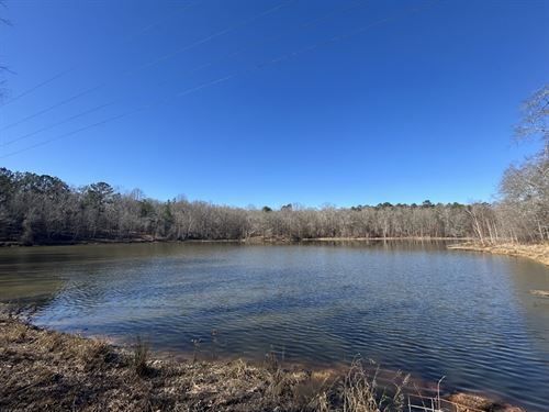 Taylor's Hideaway : Butler : Taylor County : Georgia