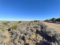 36.62 Acres for Long Term Plan : San Luis : Costilla County : Colorado