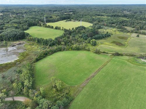Bordman Road 80 Acres, Oakland : Leonard : Oakland County : Michigan